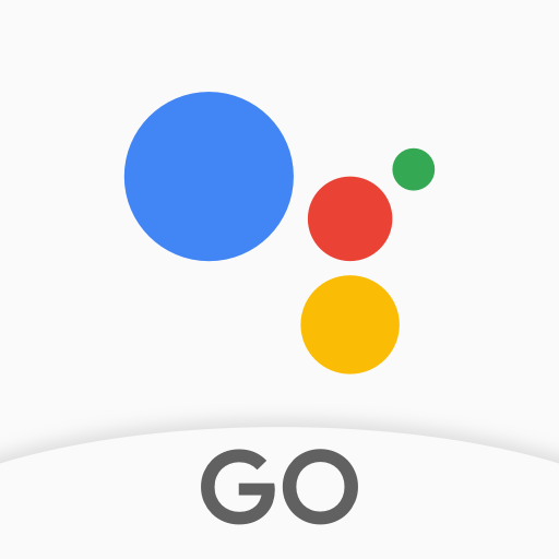 Google Assistant / Google Search