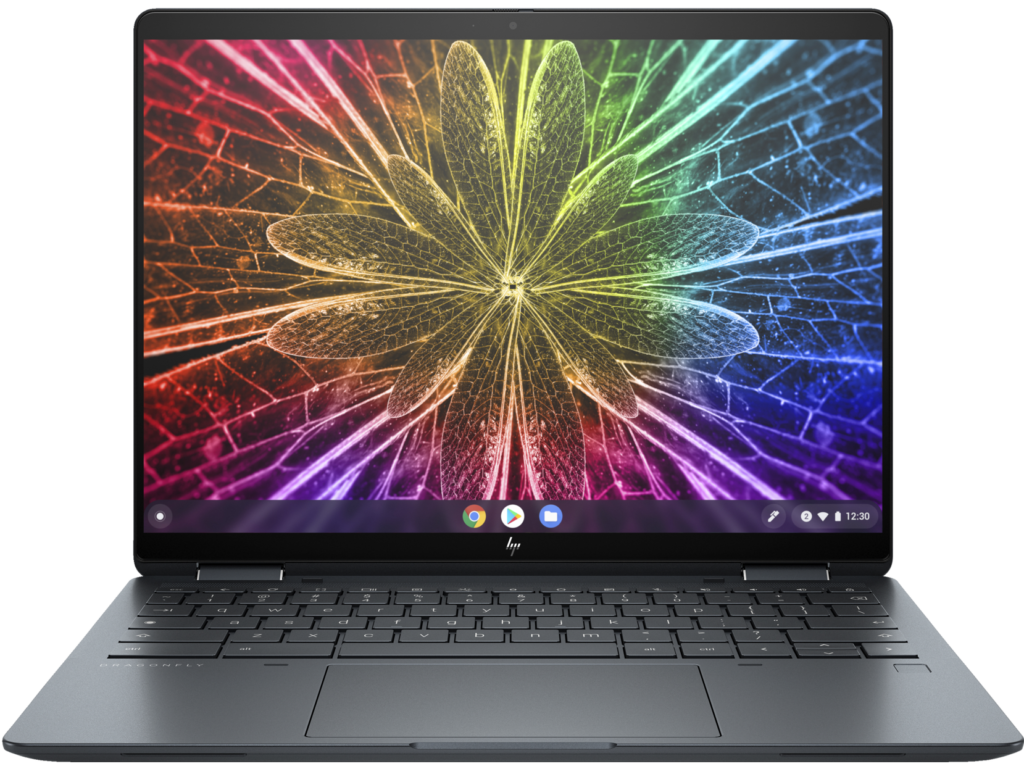 HP Elite Dragonfly Chromebook Review: Accessibility & ChromeOS