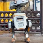 Disney’s Friendly Robots vs. Elon Musk’s Optimus