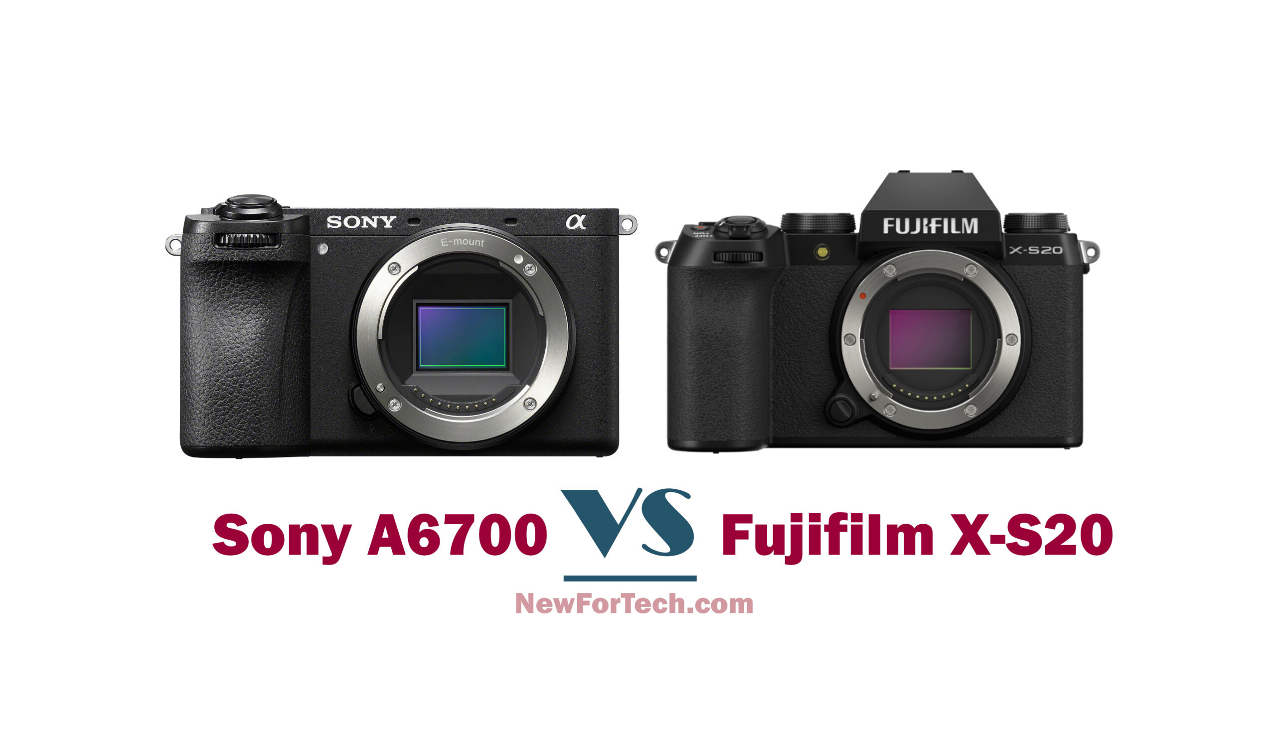 Sony A6700 vs A6600  Digital Camera World