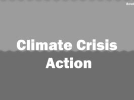 Climate Crisis Action: Orgs & Individuals Unite for a Green Future