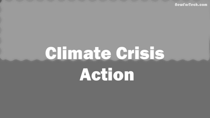Climate Crisis Action: Orgs & Individuals Unite for a Green Future