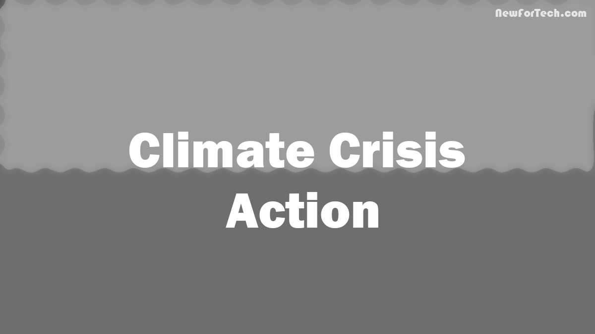 Climate Crisis Action: Orgs & Individuals Unite for a Green Future