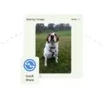 Google’s Quick Share: Android’s Answer to AirDrop