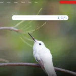 Bing’s Journey with AI Copilot