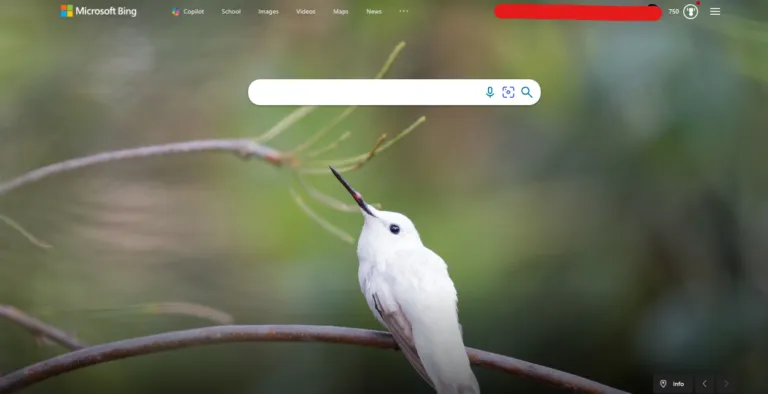 Bing’s Journey with AI Copilot
