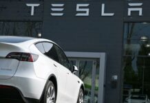 Tesla's profits plunge despite record revenue and deliveries