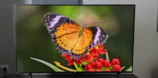 Amazon's new Omni QLED TV is available now, but I'd try one of the brand's other TVs this Black Friday