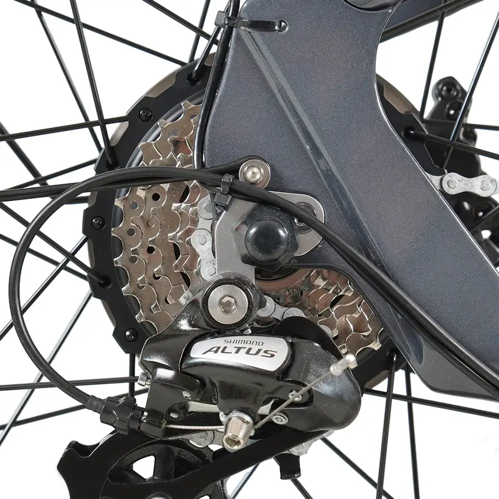  The V26’s 250W rear hub motor delivers 60 Nm and 960W peak. Credit: