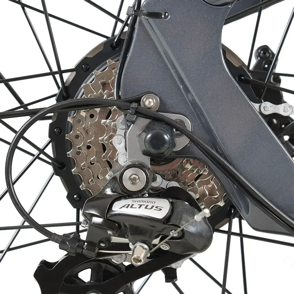 The V26’s 250W rear hub motor delivers 60 Nm and 960W peak. Credit:
