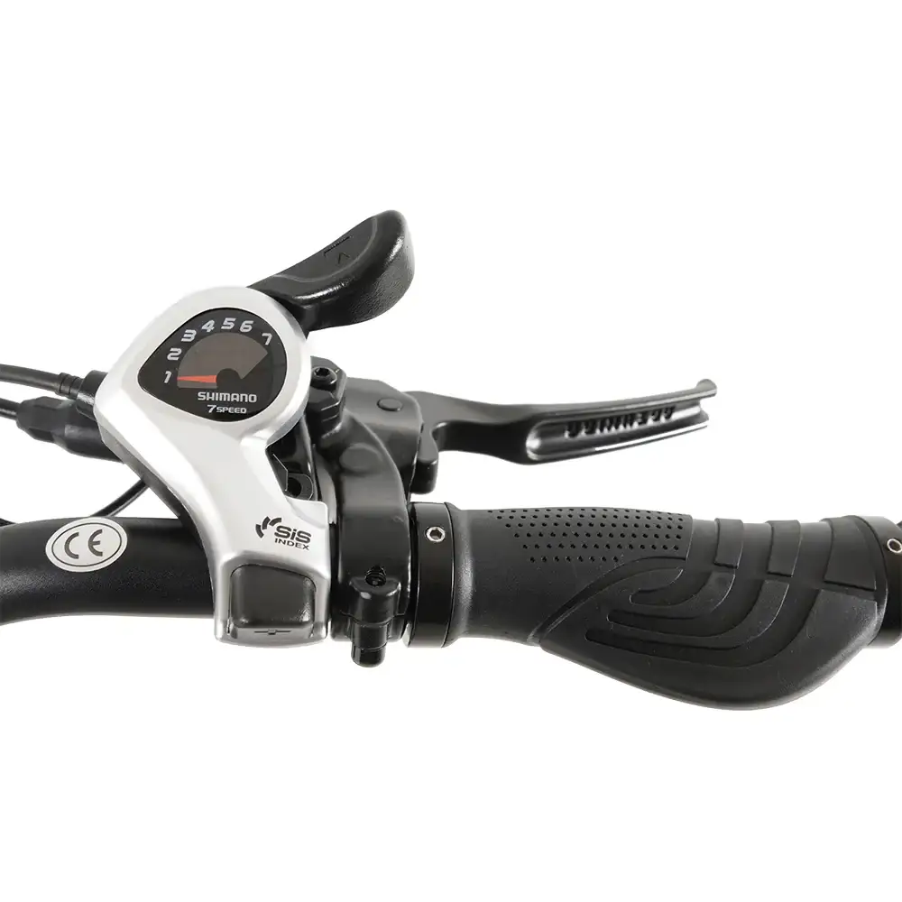 Vakole SG20 electric fat bike 