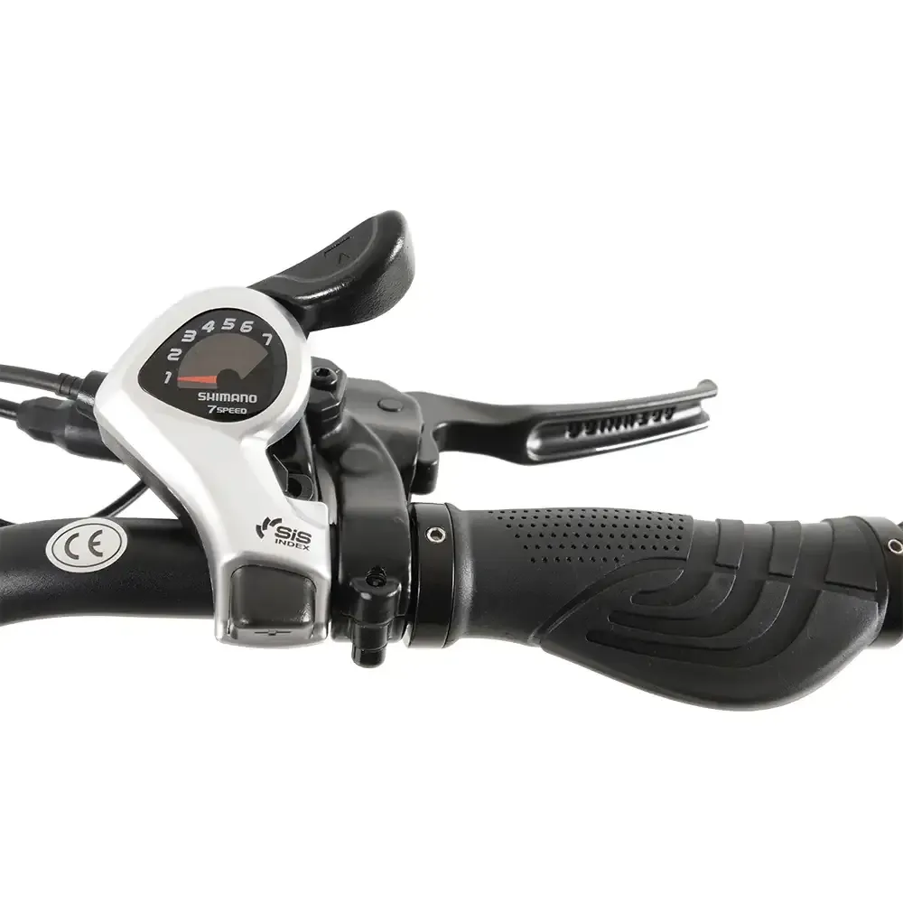 Vakole SG20 electric fat bike 